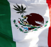 Mexican cannabis users eagerly await legal marijuana