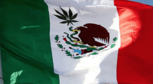 Mexican cannabis users eagerly await legal marijuana