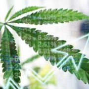 Supreme Cannabis Company Inc: New Catalysts Could Help Beaten-Down Stock Triple