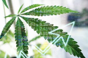 Supreme Cannabis Company Inc: New Catalysts Could Help Beaten-Down Stock Triple