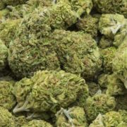 UK advised by Massachusetts Commissioner to recruit former drug dealers if marijuana is legalised