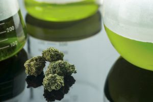 GWPH Stock: This Pharma-Marijuana Hybrid Stock Is Set to Explode in 2020