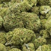 Hawaiʻi’s Medical Marijuana Oligopoly