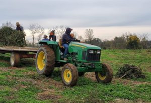 Hemp farmers eligible for USDA programs under new federal rules