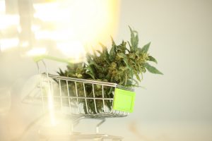 HEXO Corp: A New Reason to Check Out This Low-Priced Pot Stock