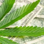 If You Think Marijuana Stocks Are Finished, You Haven’t Been Paying Attention