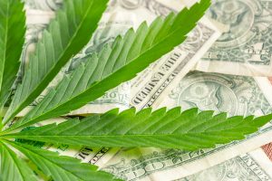 If You Think Marijuana Stocks Are Finished, You Haven’t Been Paying Attention