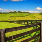 Kentucky hemp processing plant held up by contractors’ liens