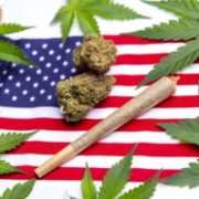 Marijuana News Today: New Poll Shows Support in U.S. for Pot Legalization