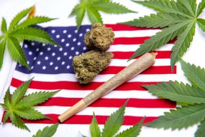 Marijuana News Today: New Poll Shows Support in U.S. for Pot Legalization