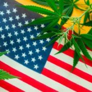 Marijuana News Today: This Powerful Person Could Determine Future of Pot Stocks