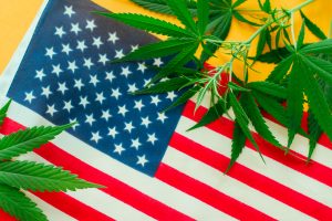 Marijuana News Today: This Powerful Person Could Determine Future of Pot Stocks