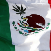 Mexican Senate set to pass bill to legalize marijuana in next few days