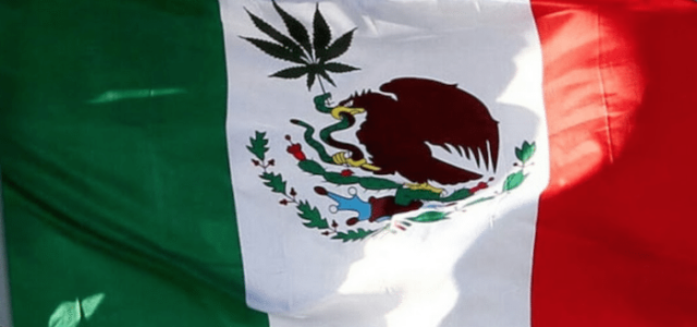 Mexican Senate set to pass bill to legalize marijuana in next few days