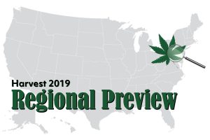 Mid-Atlantic harvest preview: 75% of Pennsylvania CBD producers lack purchase contracts