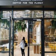 Planet 13 Restaurant and Café Set to Open