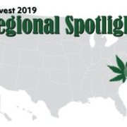 Southeast harvest preview: 98% of North Carolina and Virginia farmers planted hemp for CBD production