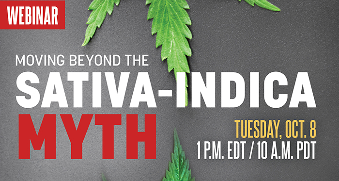 sativa indica cannabis webinar business