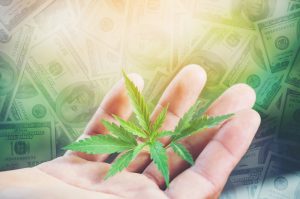 Sundial Growers Inc: Nasdaq Pot Stock With Fast-Growing Business