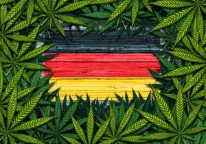 This German Marijuana Stock Continues to Grow Strong Despite Market Correction