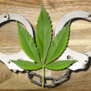 U.S. Anti-Cannabis ‘Law Enforcement’ Getting WORSE