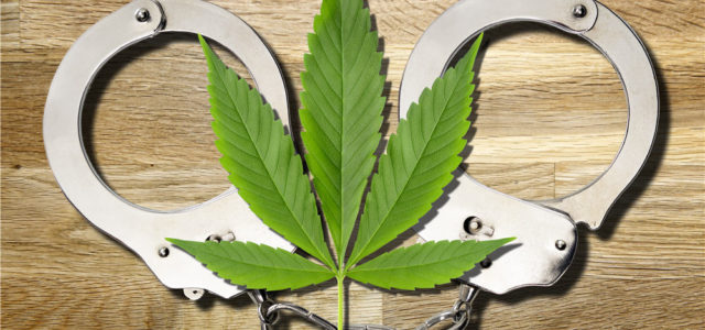 U.S. Anti-Cannabis ‘Law Enforcement’ Getting WORSE