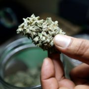 U.S. Support for Legal Marijuana Steady in Past Year