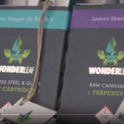 Video: Member Spotlight – WonderLeaf