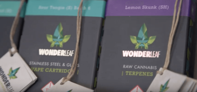 Video: Member Spotlight – WonderLeaf