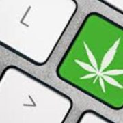 Why This Cannabis Social Media Platform Was Just Removed From The App Store