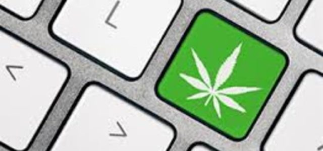 Why This Cannabis Social Media Platform Was Just Removed From The App Store
