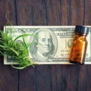 48North Cannabis Corp Poised for Massive Growth on Strong Outlook
