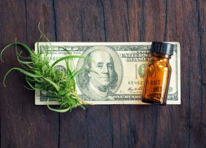 48North Cannabis Corp Poised for Massive Growth on Strong Outlook