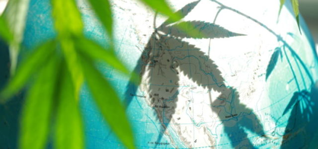 Cannabis Legalization Roundup: Mexico, Luxembourg, Switzerland
