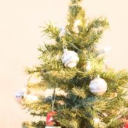 Christmas tree shortage possible as farmers switch to hemp