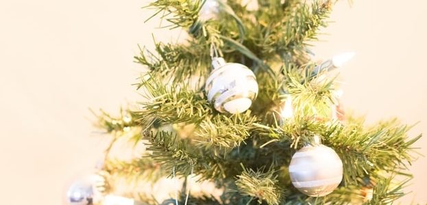 Christmas tree shortage possible as farmers switch to hemp