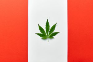 Marijuana News Today: If This Issue Can Be Resolved, Expect Pot Stocks to Soar