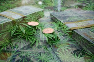 Marijuana News Today: This Penny Stock Shot Up 25% in Five Days