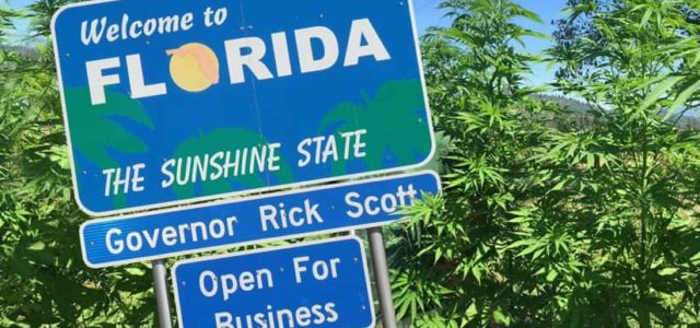 Recreational Weed Would Pump $190 Million Into Florida’s Economy, Report Says