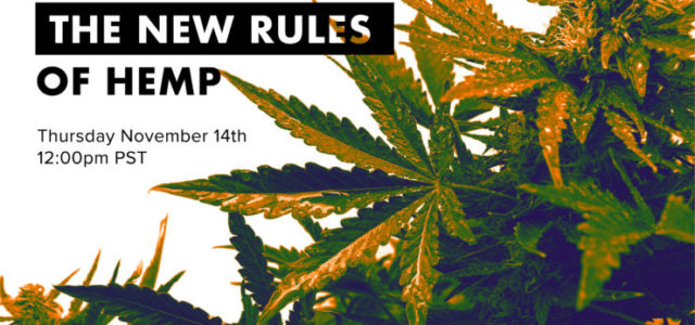 The New Rules of Hemp Video Available