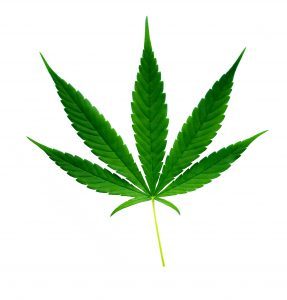 Marijuana News Today: Pot Stocks Climb & Canada Expands Weed Market