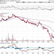 Meta Growth Fiscal Q4 Revenues of CAD$17.1 Million, Stock Continues Rising