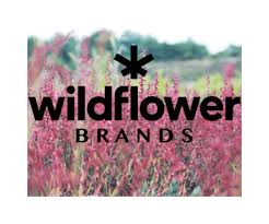 Wildflower Reports 400% Revenue Increase
