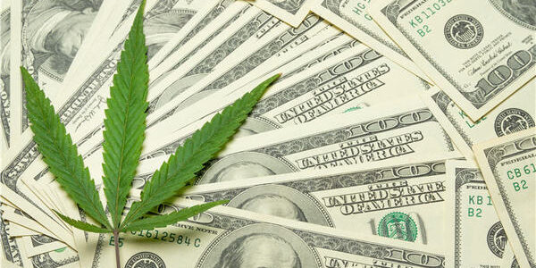 You can now legally buy marijuana for recreational use in Michigan