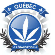 Anti-Cannabis Fiction Stokes Quebec Government Paranoia