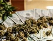 Investing in Pot: Are Marijuana Stocks a Safe Investment?