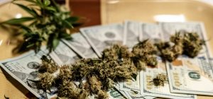 Investing in Pot: Are Marijuana Stocks a Safe Investment?