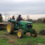 Kentucky will operate 2020 hemp program under existing rules