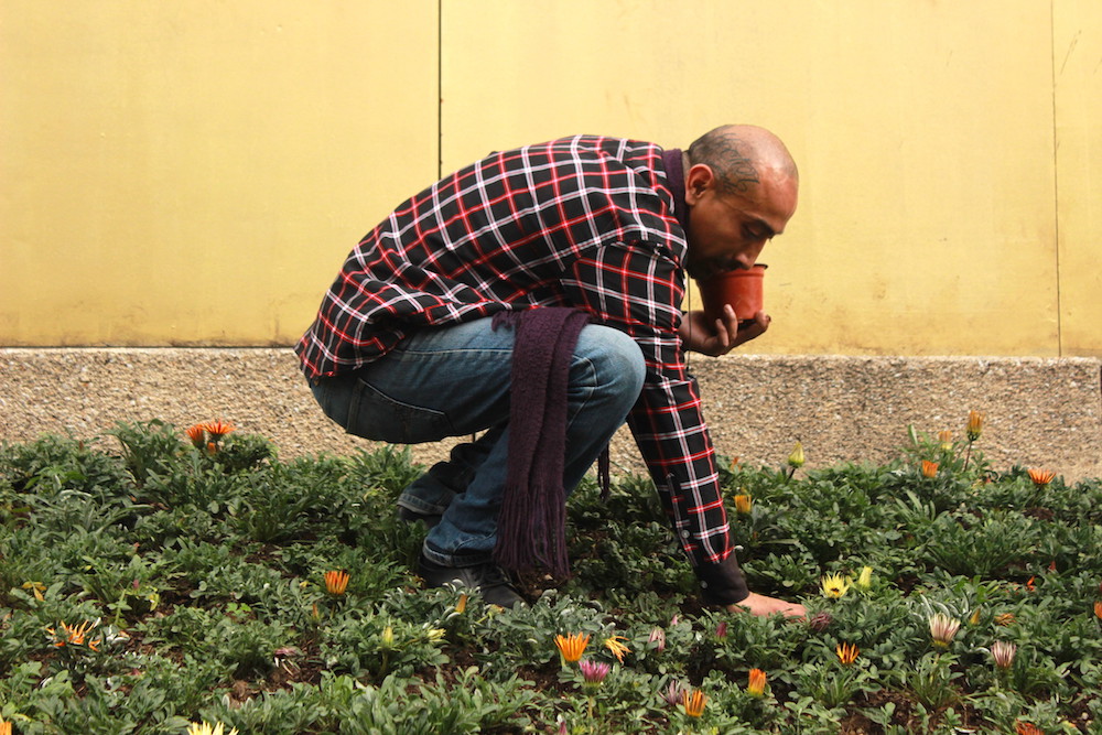 Mexico City Cannabis Activists Plant Buds at Capital's Best Known Monument