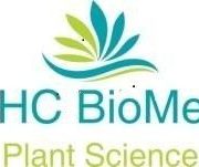 THC BioMed Intl Ltd. Turns a Profit as Revenue Breaks $1 Million